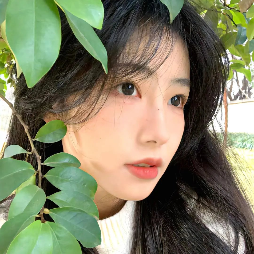 红尘 热播榜单
